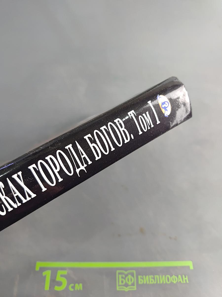 В поисках города богов. Том 1. Трагическое послание древних