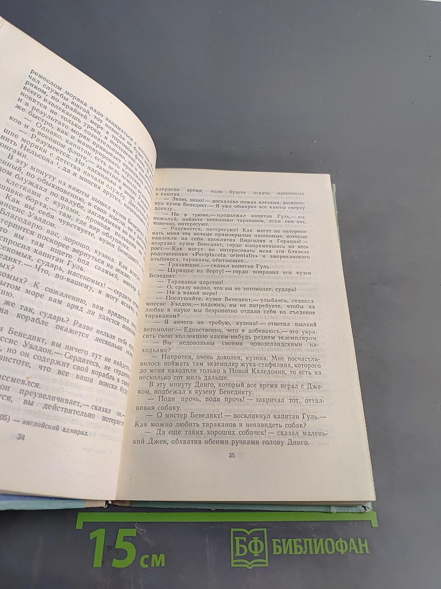 Пятнадцатилетний капитан