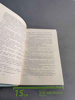 Пятнадцатилетний капитан