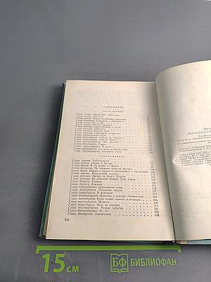 Пятнадцатилетний капитан