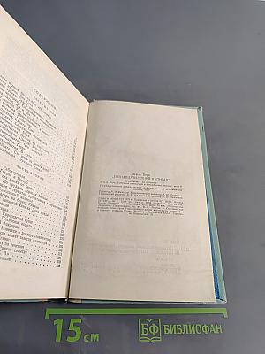 Пятнадцатилетний капитан