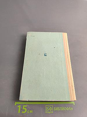 Пятнадцатилетний капитан