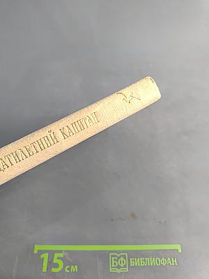 Пятнадцатилетний капитан