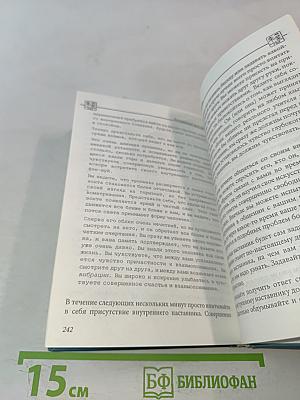 Внутренний Фэн-шуй. Древнее китайское искусство самосовершенствования
