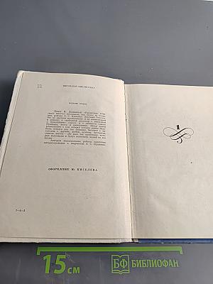 Прочитаем Онегина вместе