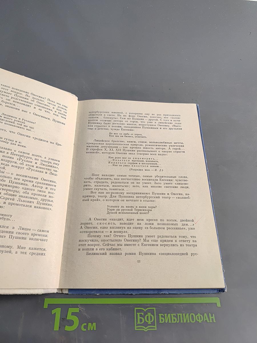 Прочитаем Онегина вместе