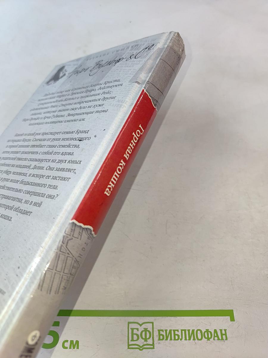 Горная кошка