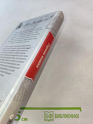 Горная кошка