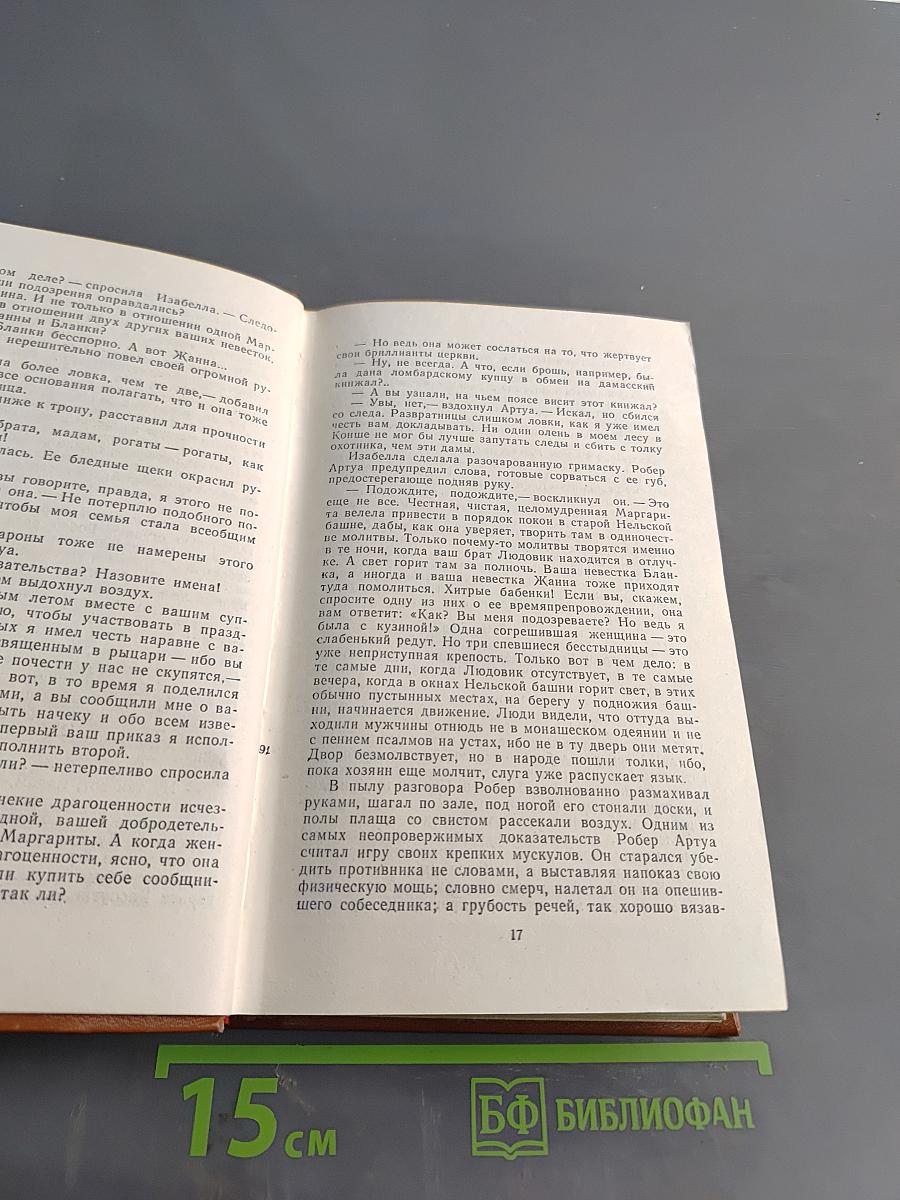 Железный король. Убийца Шампаньера