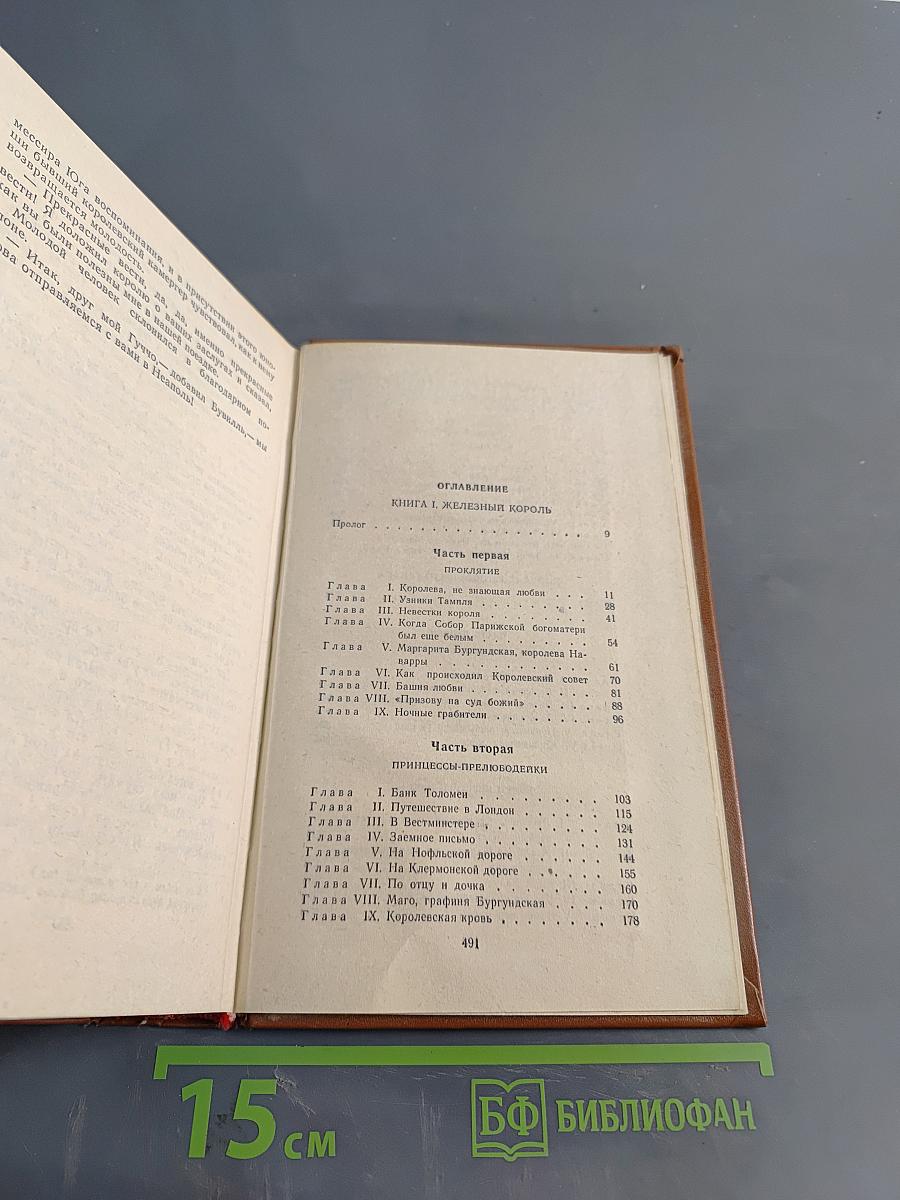 Железный король. Убийца Шампаньера