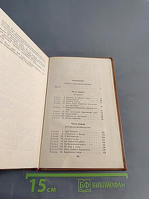 Железный король. Убийца Шампаньера