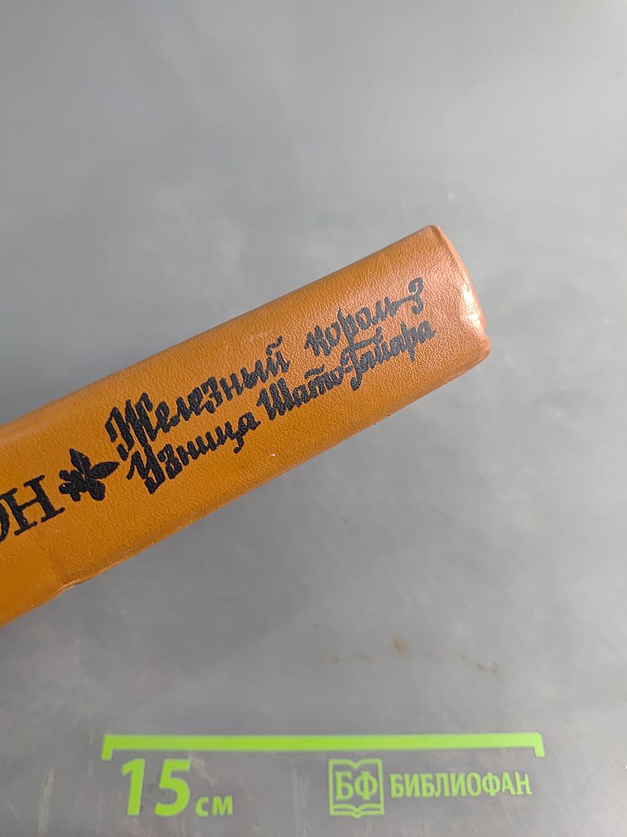 Железный король. Убийца Шампаньера