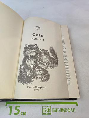 Cats. Кошки