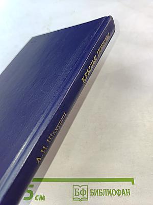 Крылья победы. Воспоминания