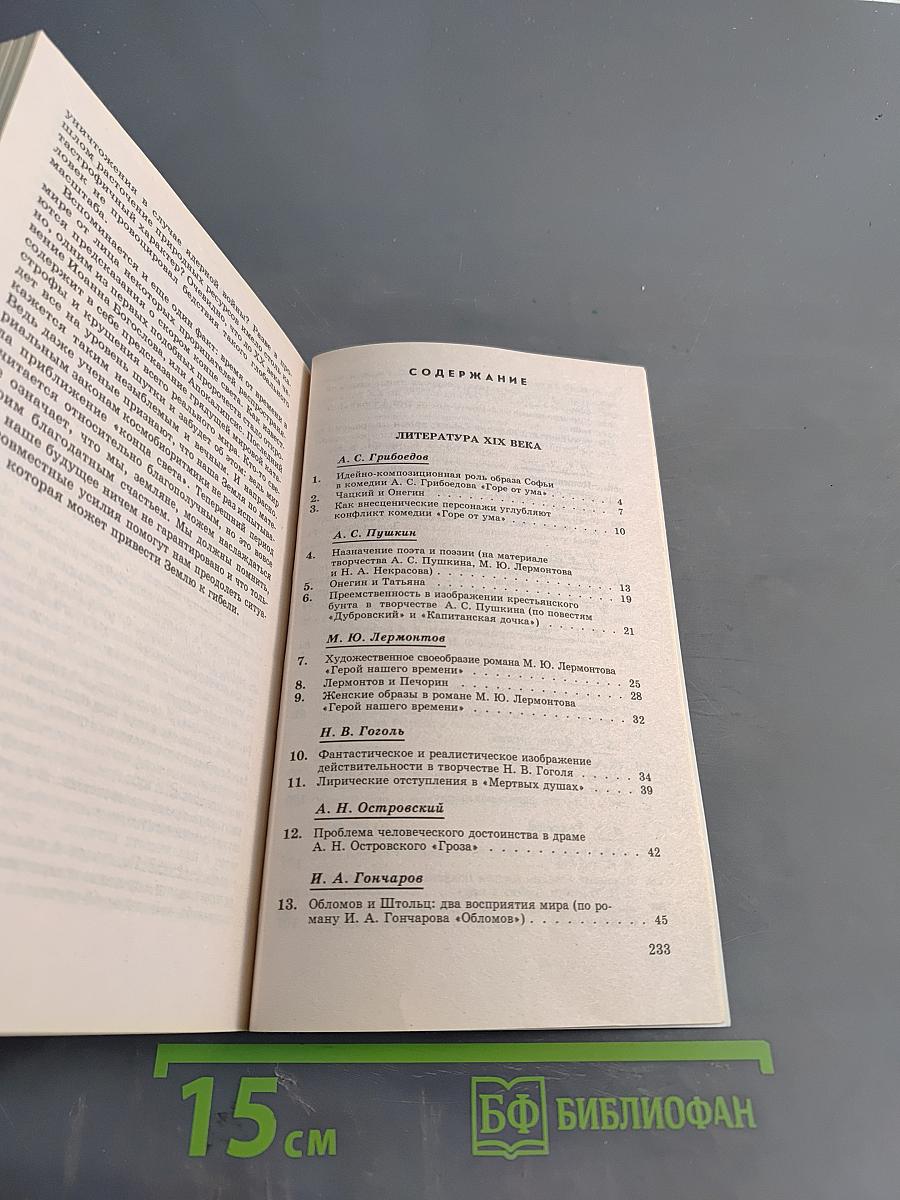 55+15 школьных сочинений. 9-11 классы