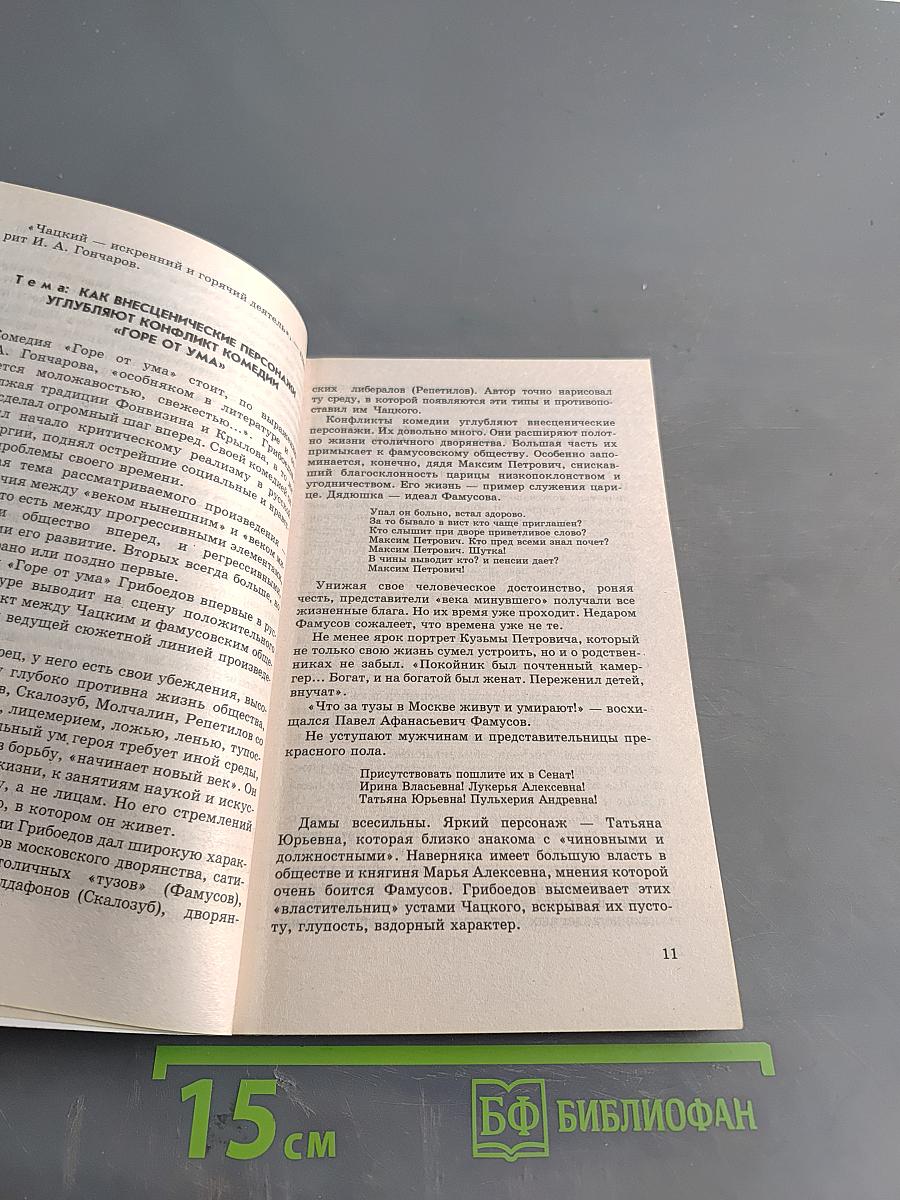 55+15 школьных сочинений. 9-11 классы