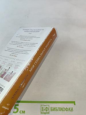 Те, кто уходит, и те, кто остается. Моя гениальная подруга. Книга третья