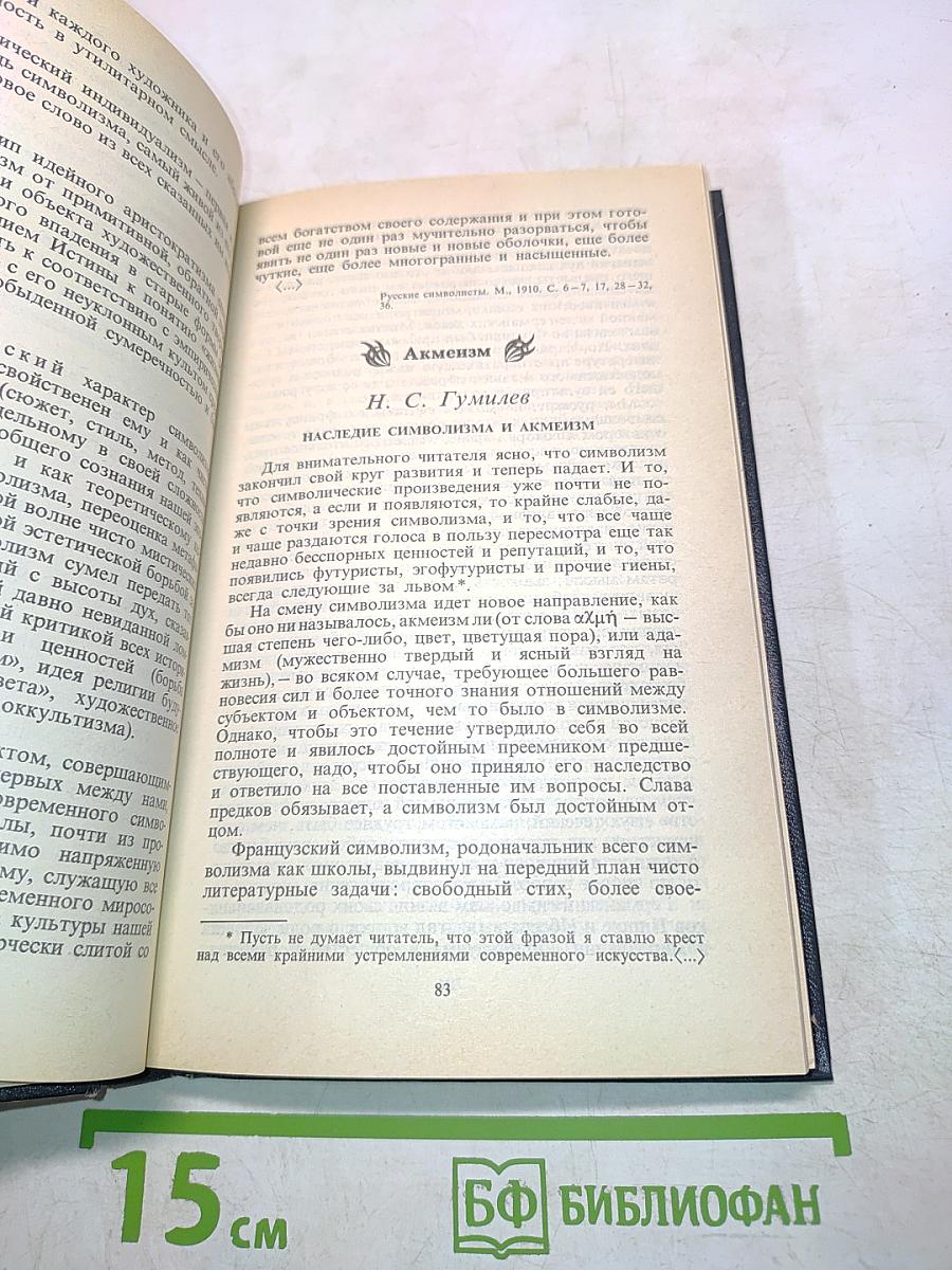 Поэтические течения в русской литературе конца XIX – начала XX века. Хрестоматия