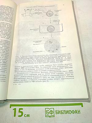 Молекулы и клетки