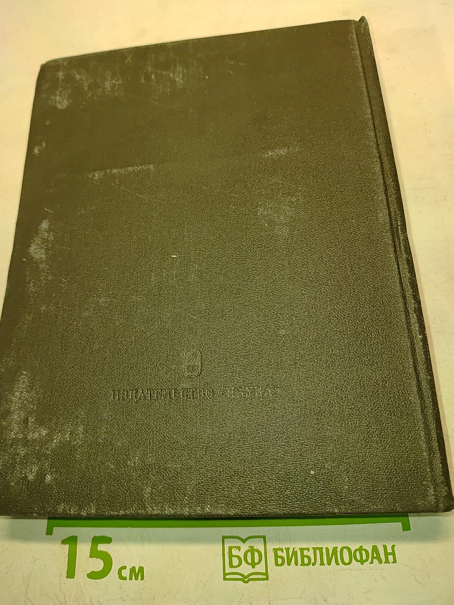 Женский портрет