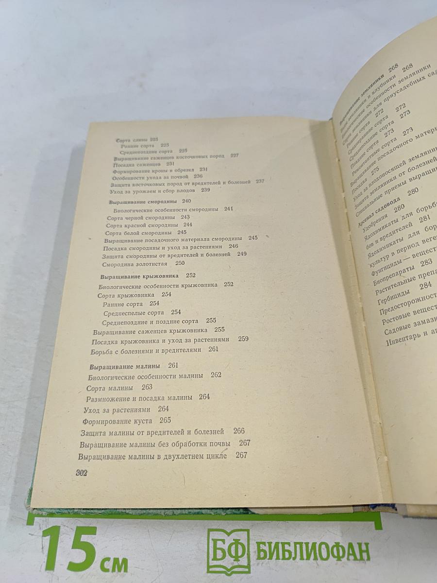 Приусадебный сад