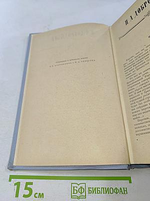 Русские очерки. Том II