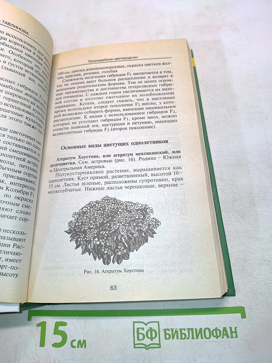 Приусадебное цветоводство