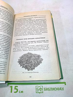 Приусадебное цветоводство