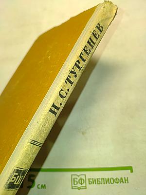 Отцы и дети