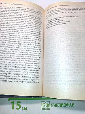 Энциклопедия словесности. Русские романы. Путеводитель по пространствам великой литературы XVIII-XX вв.