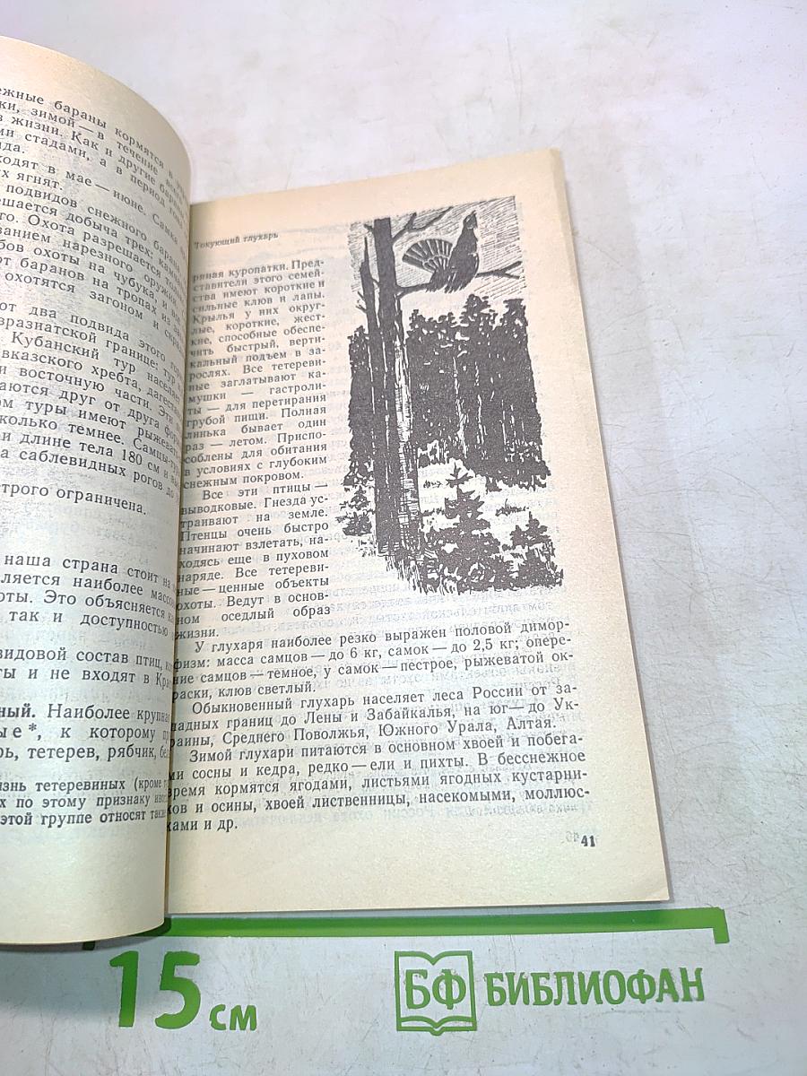 Дары природы к столу и впрок