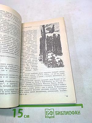 Дары природы к столу и впрок