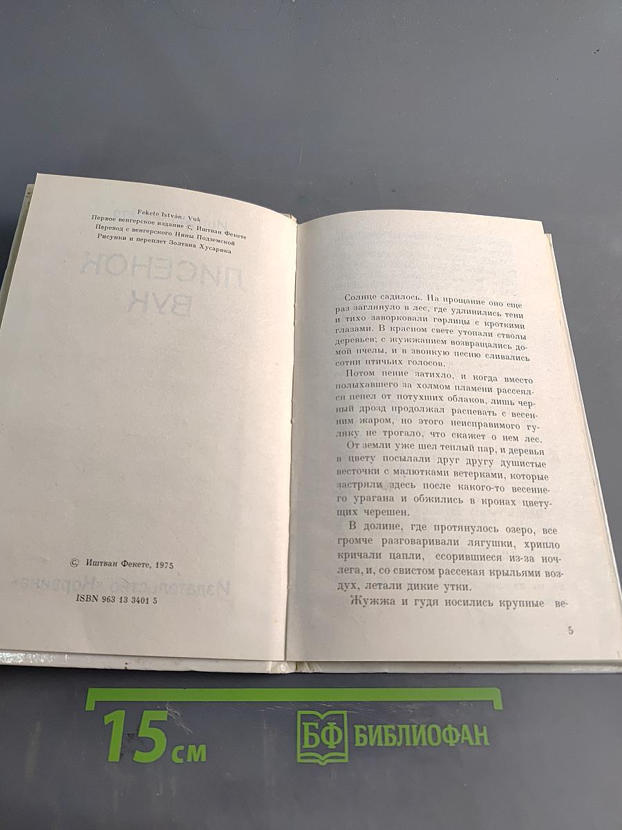 Лисёнок Вук