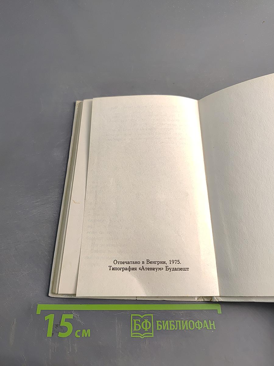 Лисёнок Вук