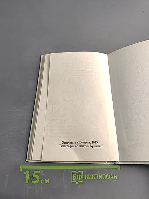 Лисёнок Вук