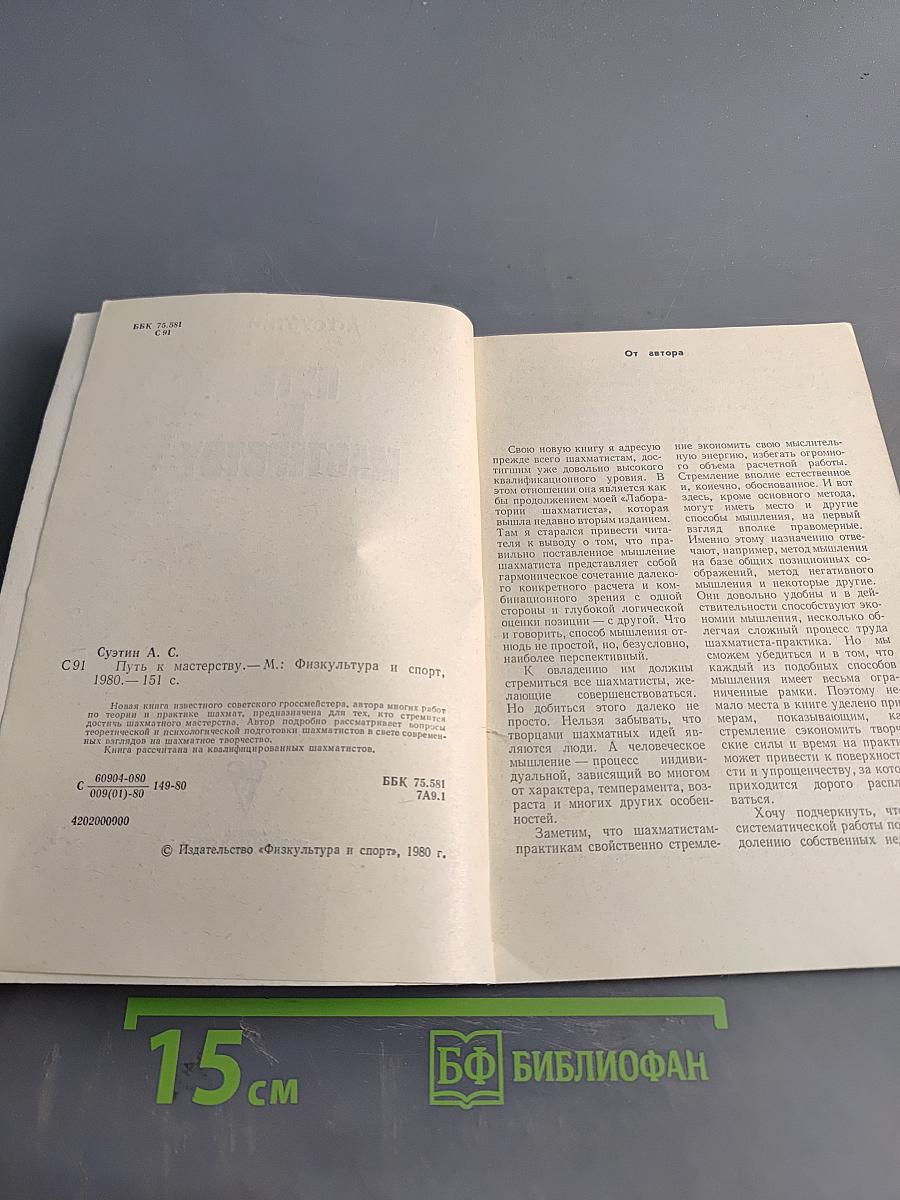 Путь к мастерству