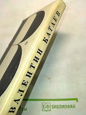 Святой колодец. Трава забвенья