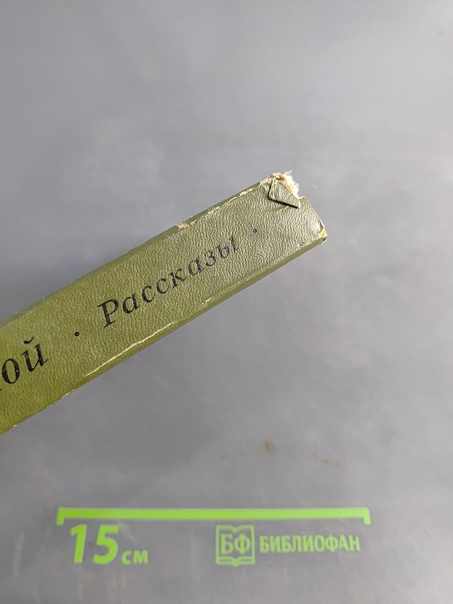 Рассказы (Школьная библиотека)