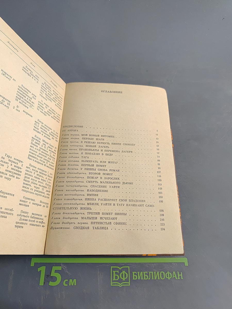 Пятнистый сфинкс