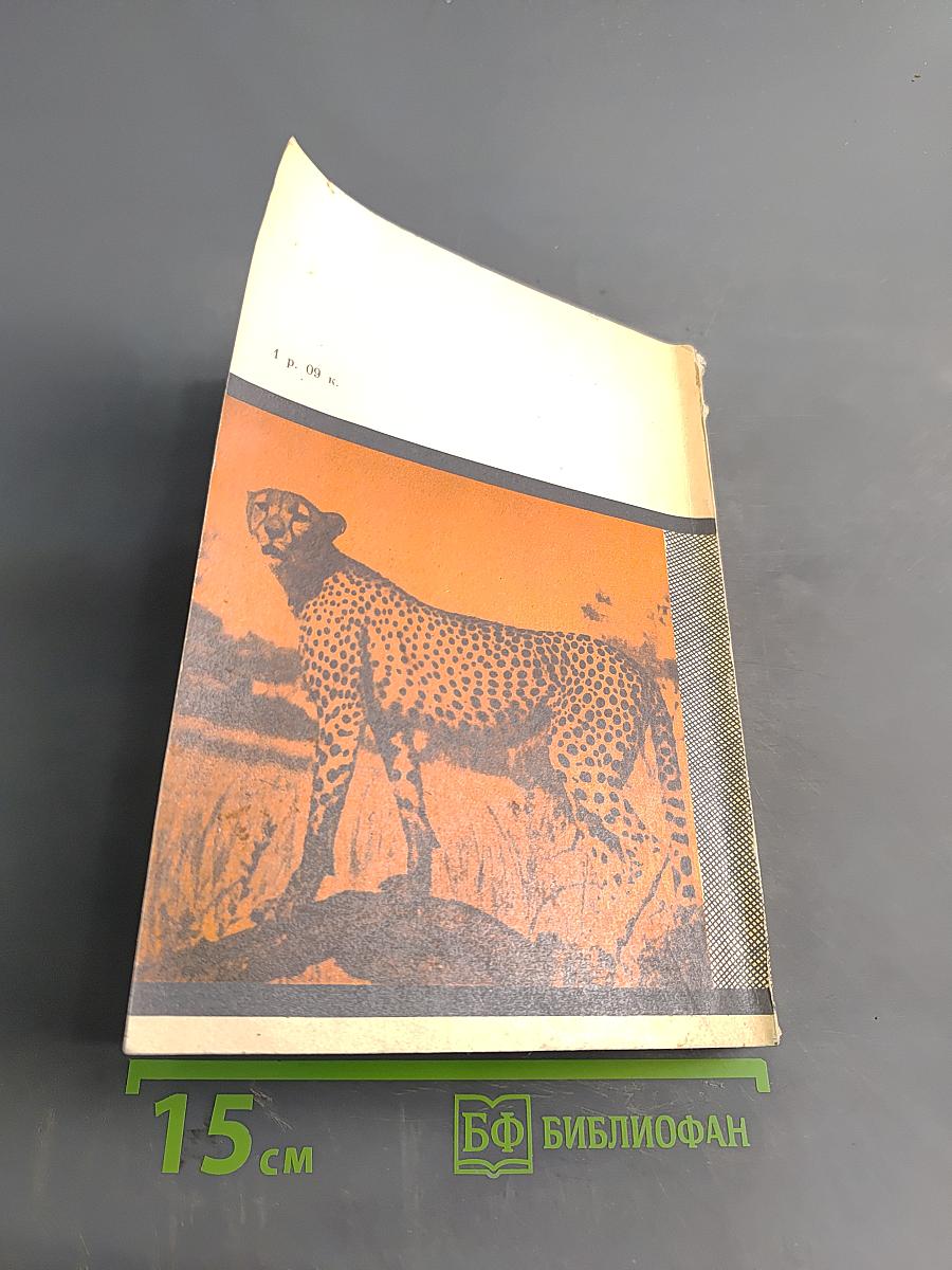 Пятнистый сфинкс