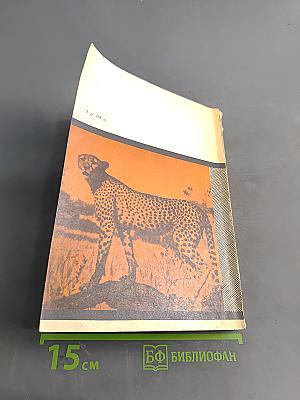 Пятнистый сфинкс