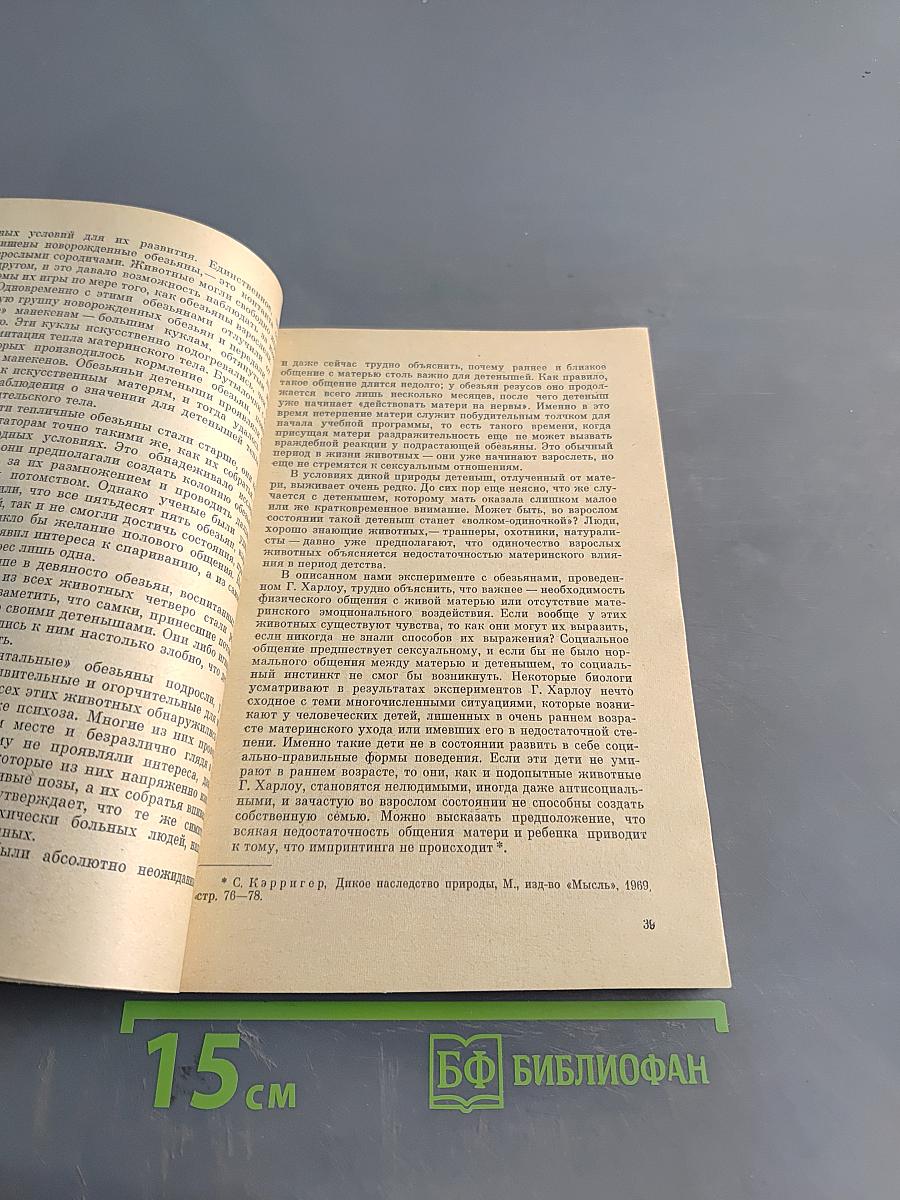 Пятнистый сфинкс