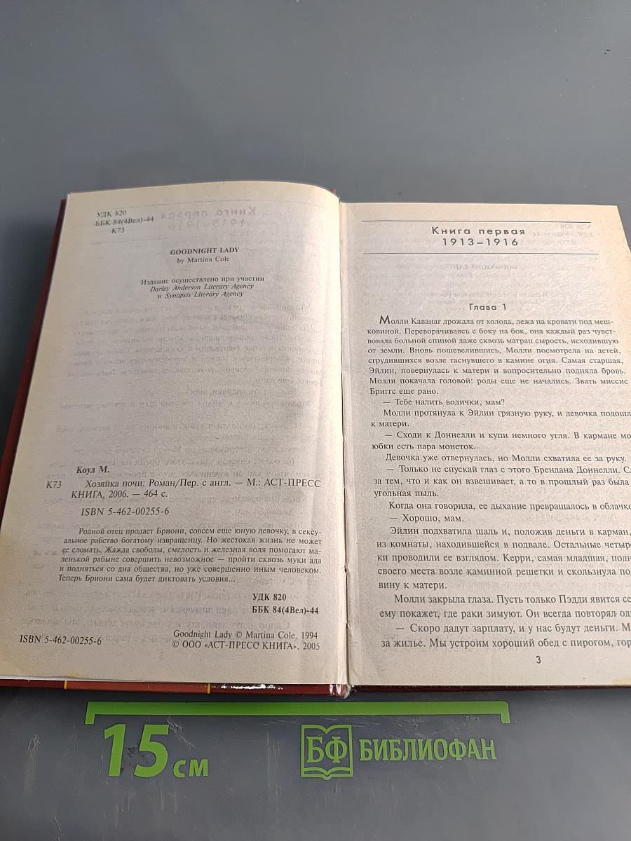 Хозяйка ночи