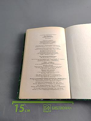 Странствия мага. Том второй. Хранитель мечей