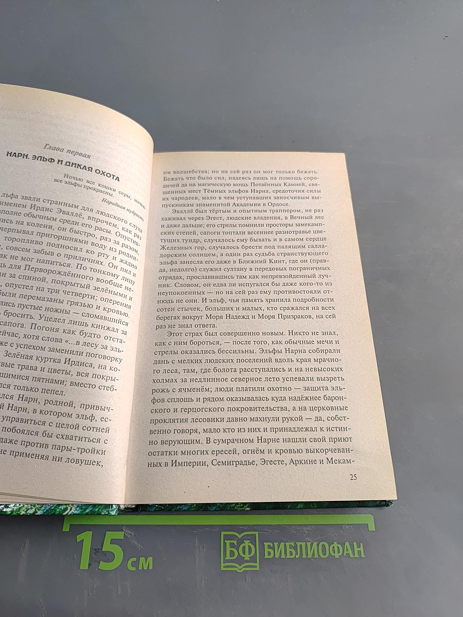 Странствия мага. Том первый. Хранитель мечей. Книга вторая