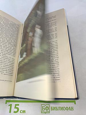 Собрание сочинений в пятнадцати томах. Том 13