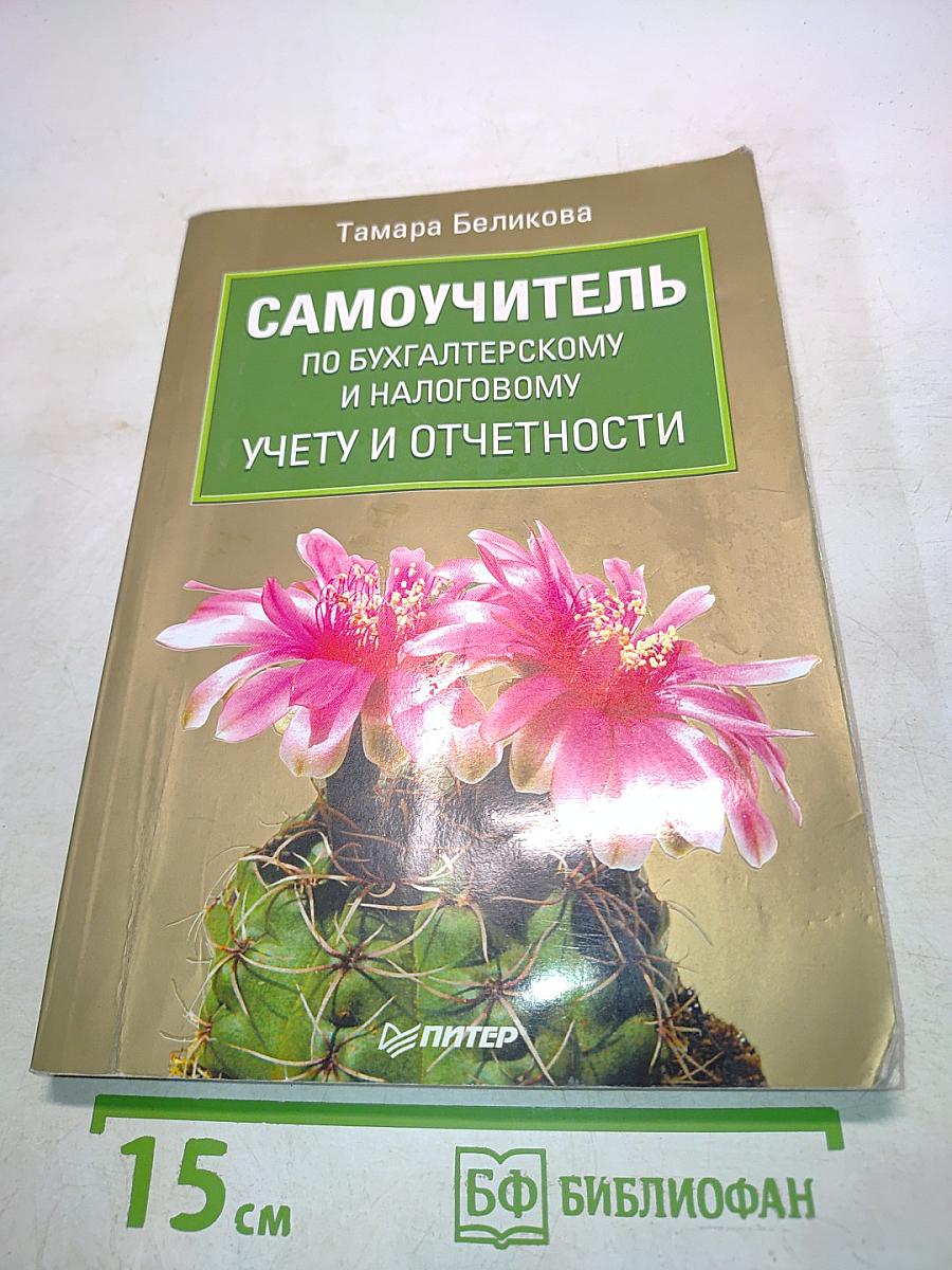 Самоучитель по бухгалтерскому и налоговому учету и отчетности