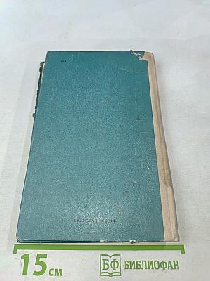 Наследник фаворитки