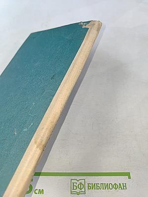 Наследник фаворитки