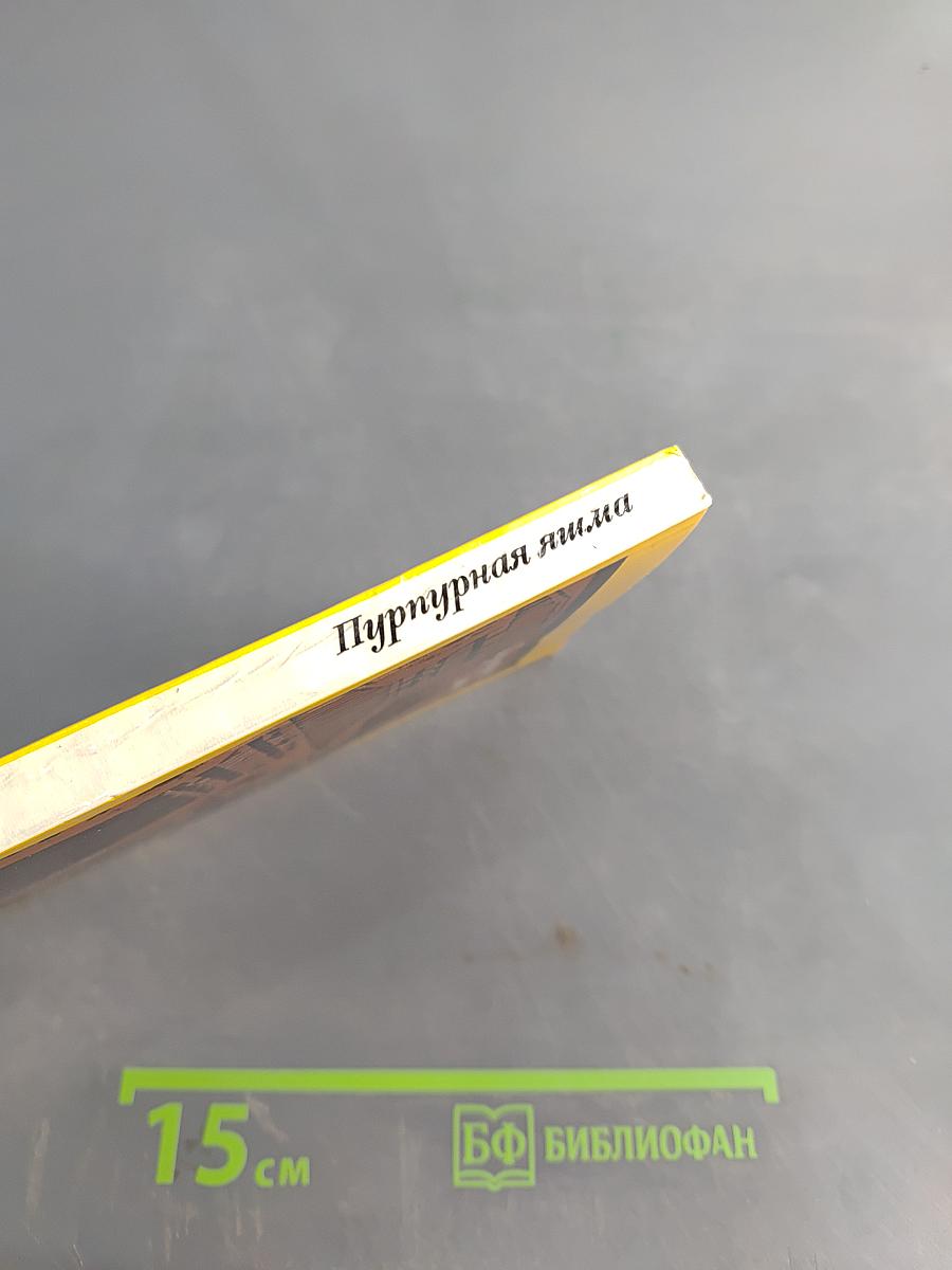 Пурпурная яшма